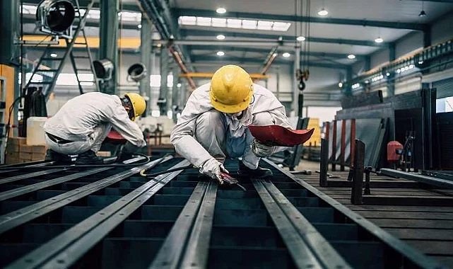Vize Elektronik Eşya Taşıma